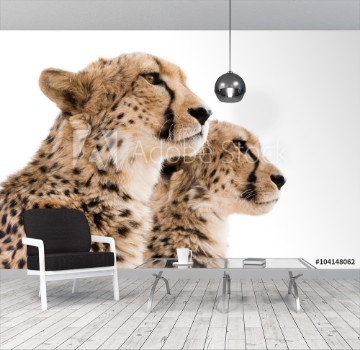 Bild på Cheetahs Portrait white background